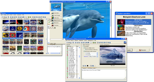 Click on the thumbnail to see the full image